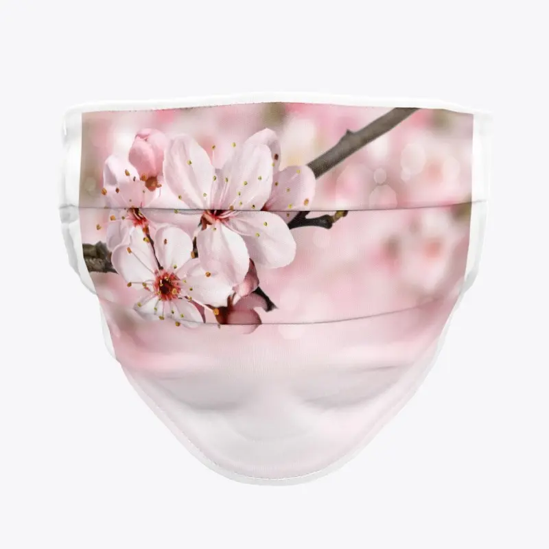 Cherry Blossoms